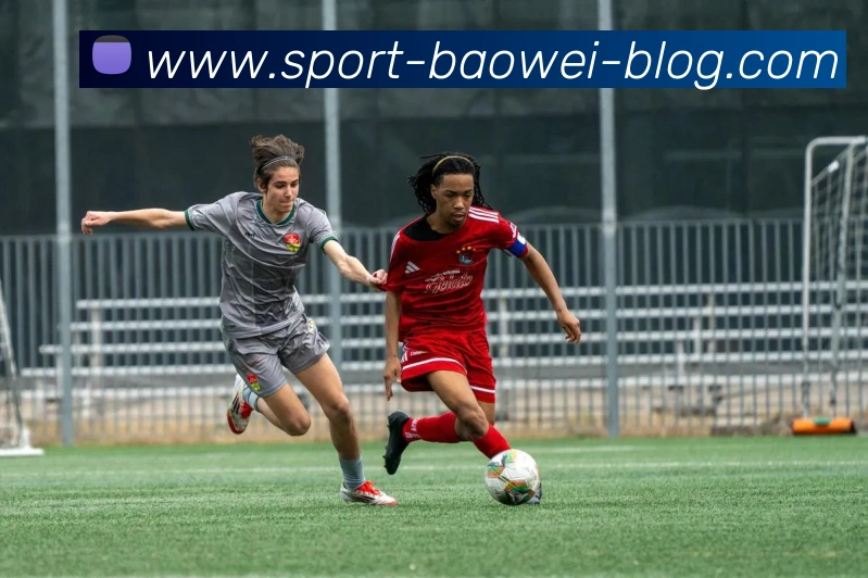 宝威体育平台生态图